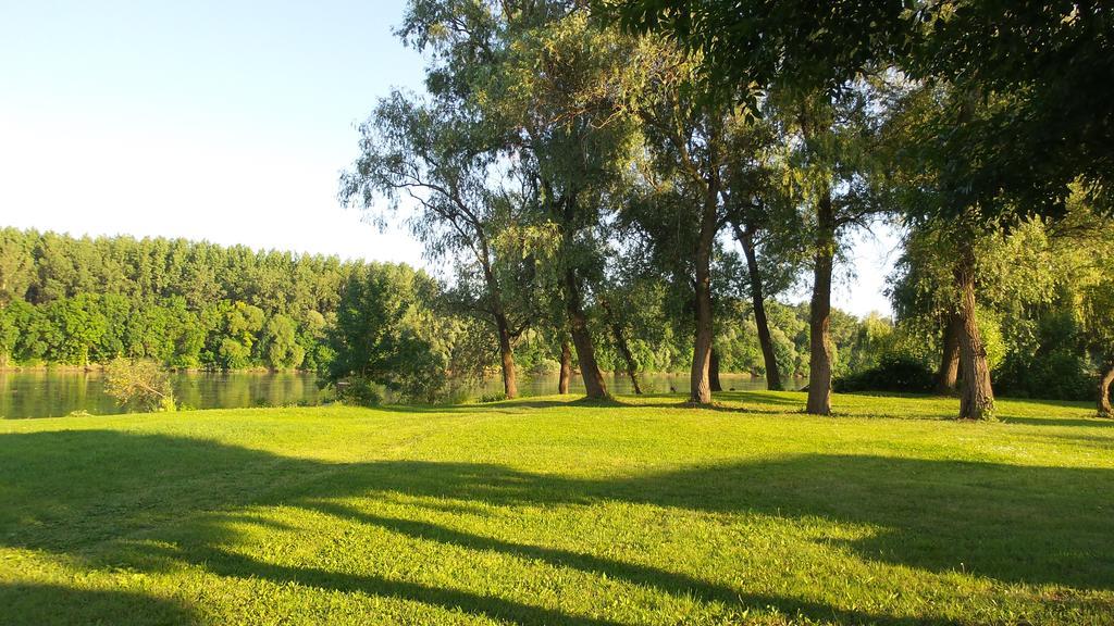 Villa Tiszavirag Nyaralohaz à Szeged Extérieur photo