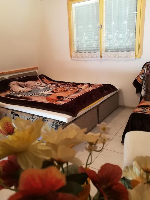 Villa Tiszavirag Nyaralohaz à Szeged Extérieur photo