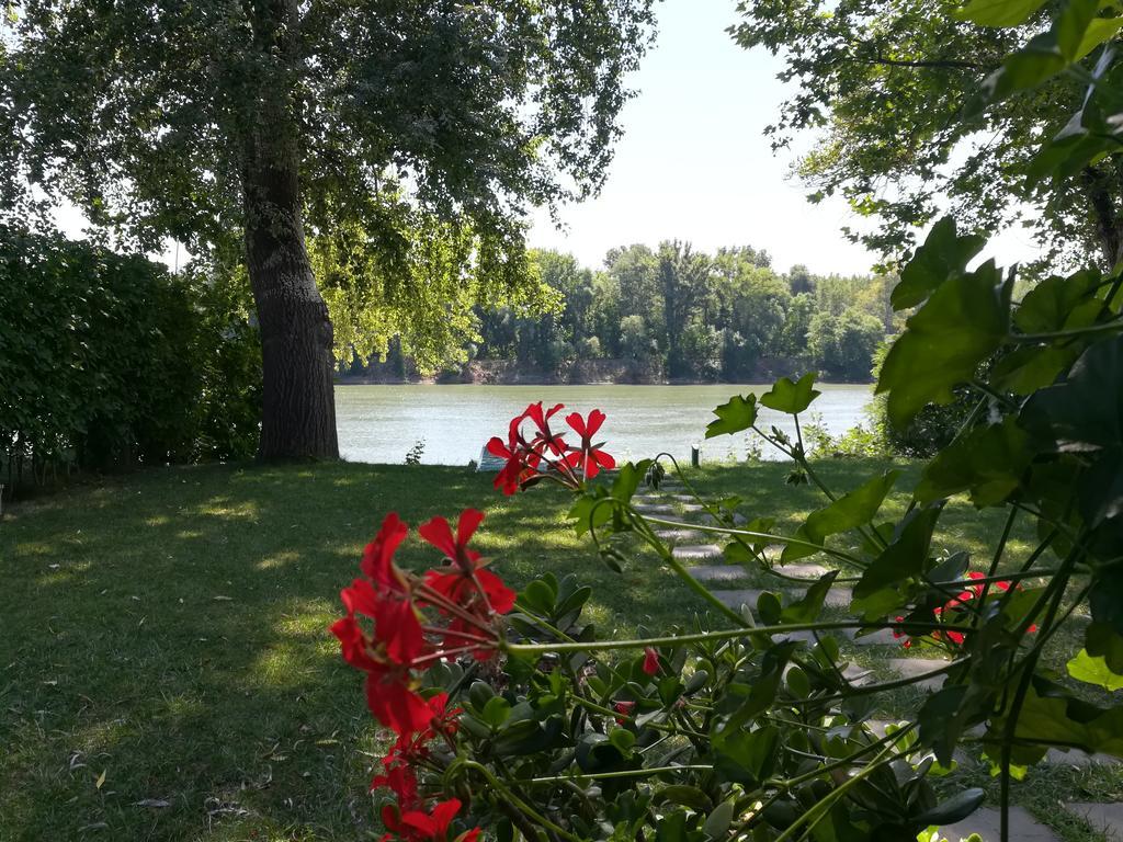 Villa Tiszavirag Nyaralohaz à Szeged Extérieur photo